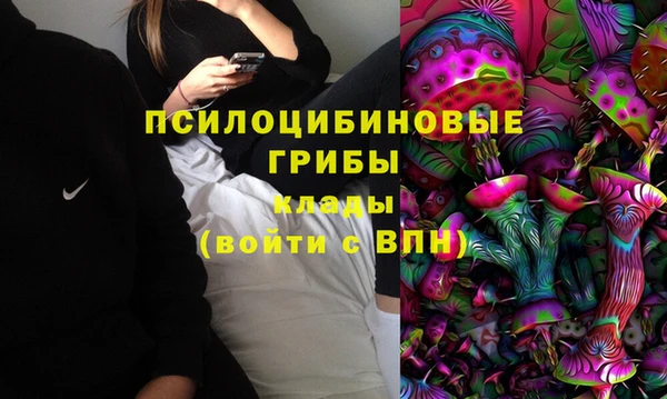 spice Михайлов
