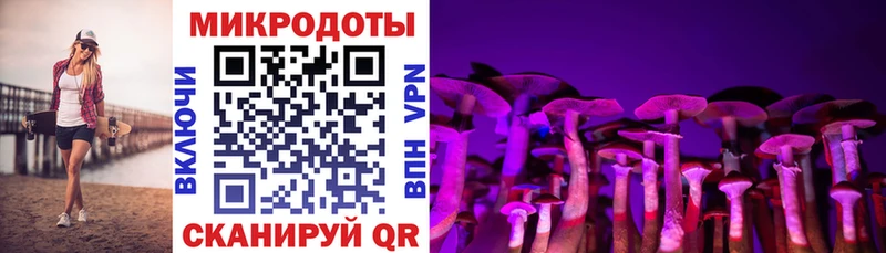 hydra сайт  купить наркотик  Вичуга  Псилоцибиновые грибы Cubensis 