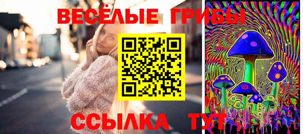Галлюциногенные грибы Magic Shrooms  Галлюциногенные грибы Psilocybe  Вход с VPN  Вичуга 