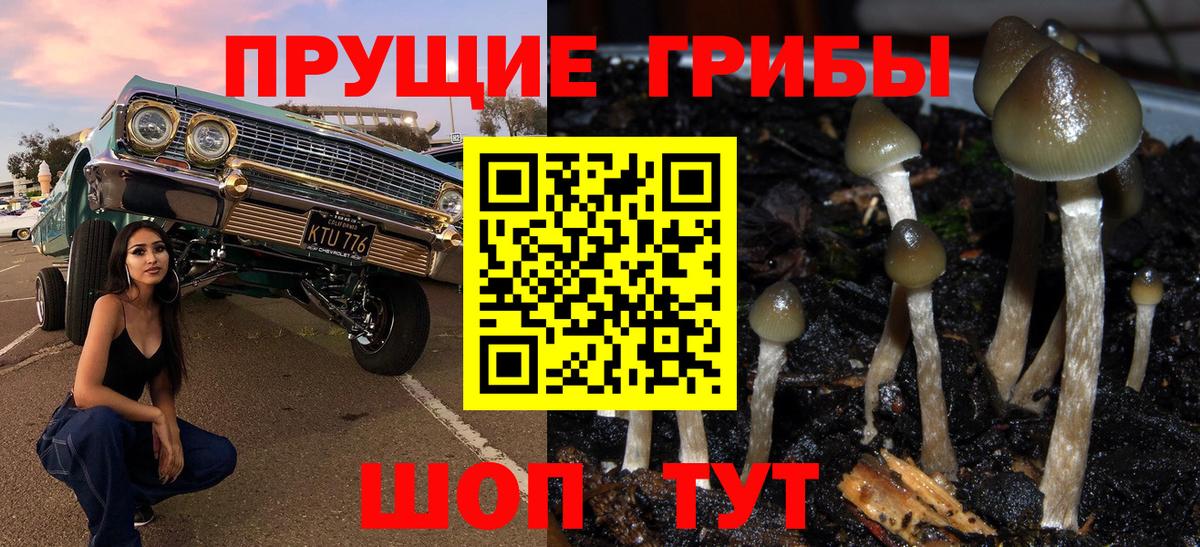 Псилоцибиновые грибы MAGIC MUSHROOMS  Вичуга 