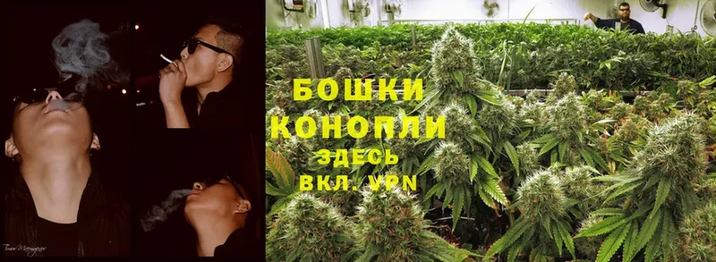 сайты даркнета формула  Вичуга  Бошки марихуана OG Kush 